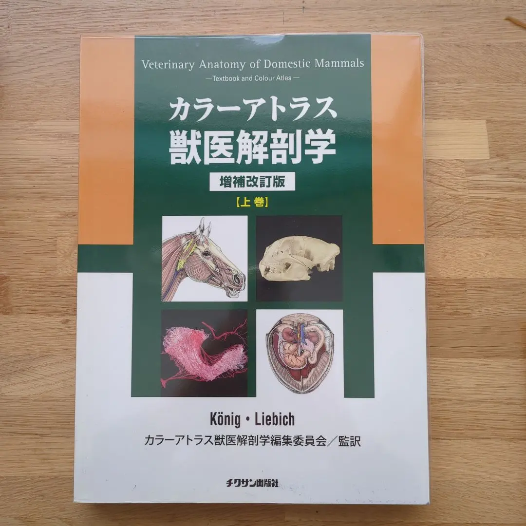 2026年最新】カラーアトラス獣医解剖学〈下巻〉の人気アイテム - メルカリ