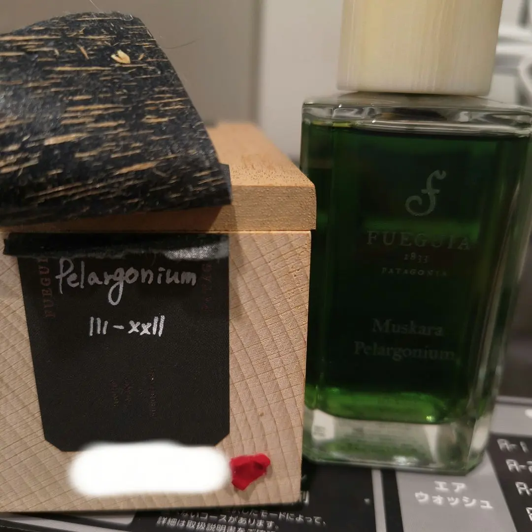 2026年最新】Fueguia ペラルゴニウムの人気アイテム - メルカリ