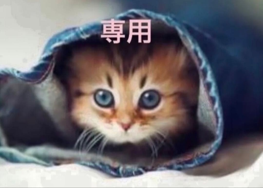 BUYEE公式アカウント21 エクストラパック 第42弾 ゼクス伝説 - Gaming Edition Ⅱ - ｜ Z/X