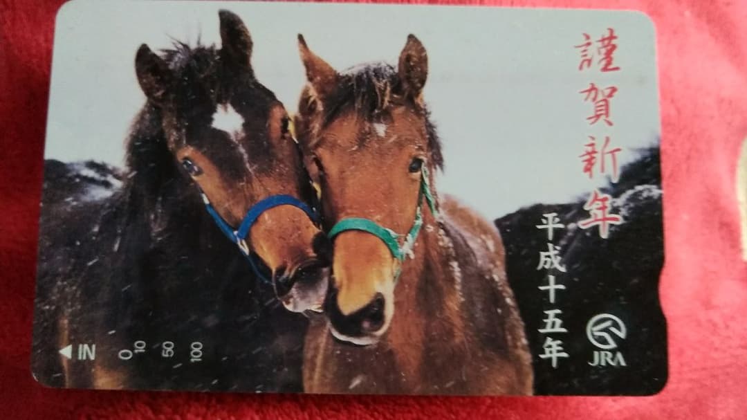 競馬貴重なレアカード ミントモール / MINT 新宿店 / 2024 BBM 1st Version 村上頌樹 Amazing