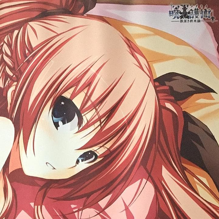 暁の護衛 二階堂麗華 タペストリー 9本セット 【稀少品】 - メルカリ