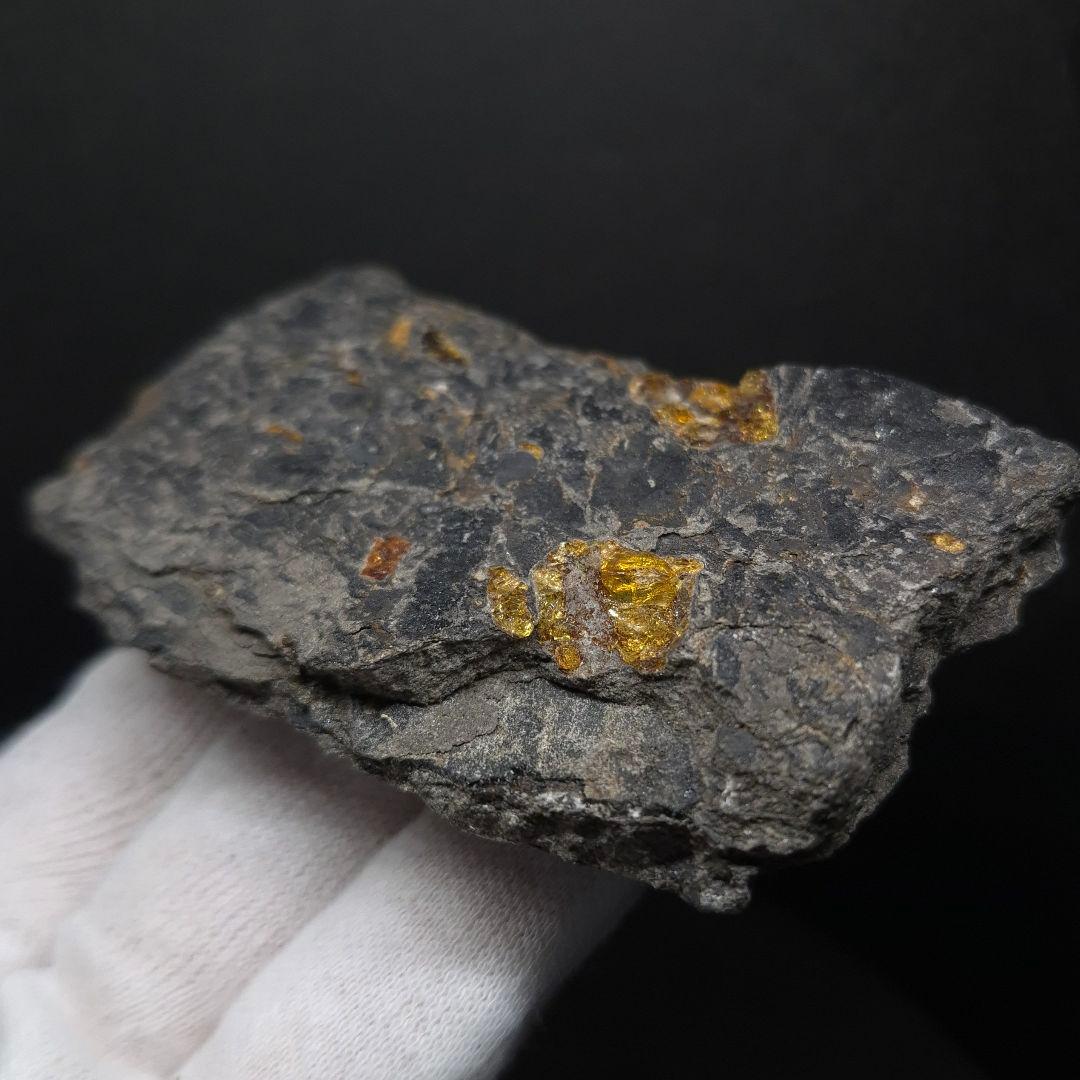 母岩付き 琥珀 化石 本物 87.71mm fab1