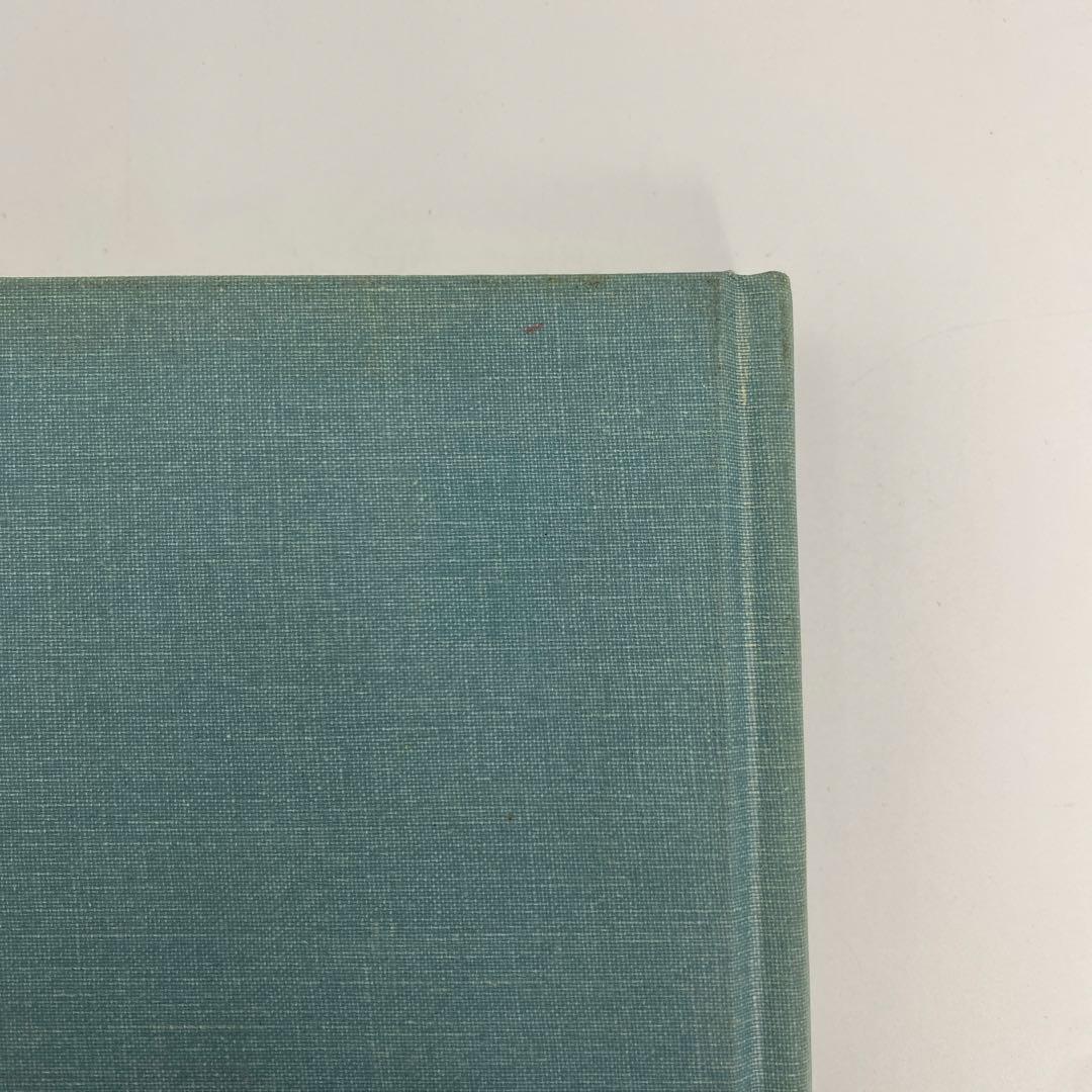 Reading Dubliners Again ダブリナーズを再読する - メルカリ