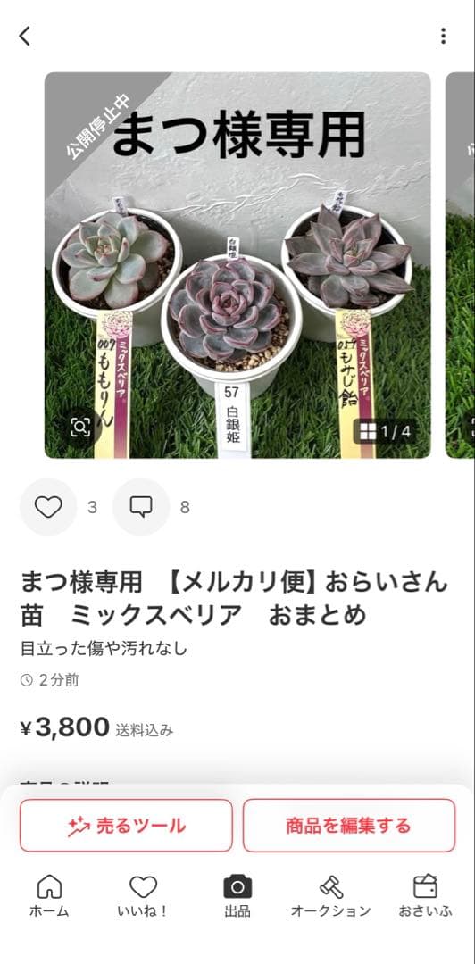 まつ　おまとめ