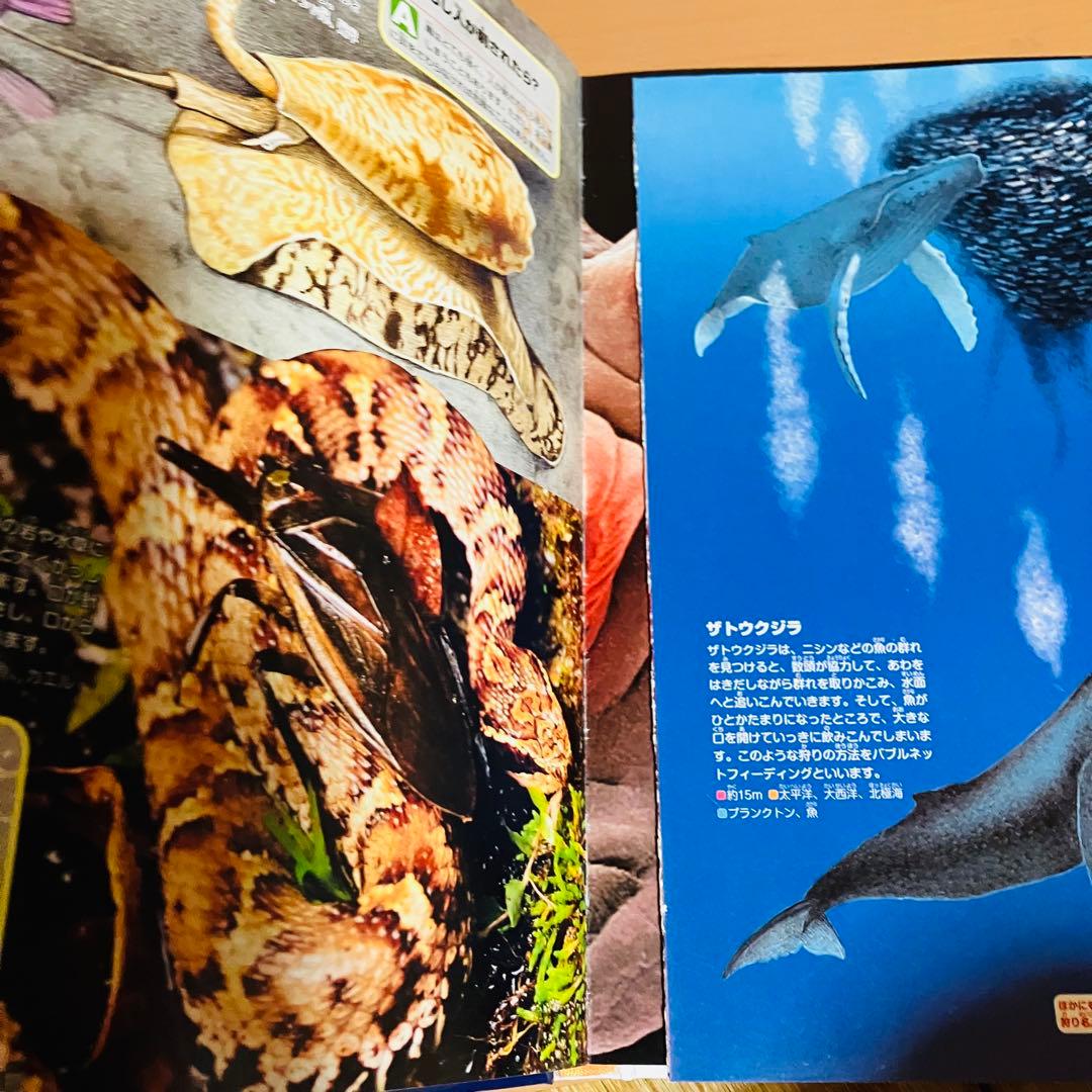 図鑑15冊セット（講談社、小学館）