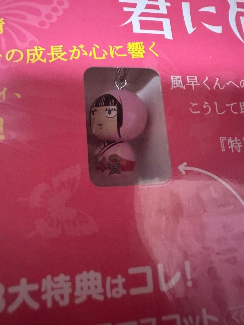 君に届け　ストラップ付きDVD8巻セット＆全巻購入特典DVD BOX