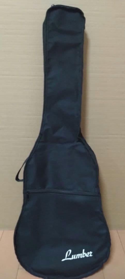 アコースティックミニギター LumberL100MNA ケース他付属品5点