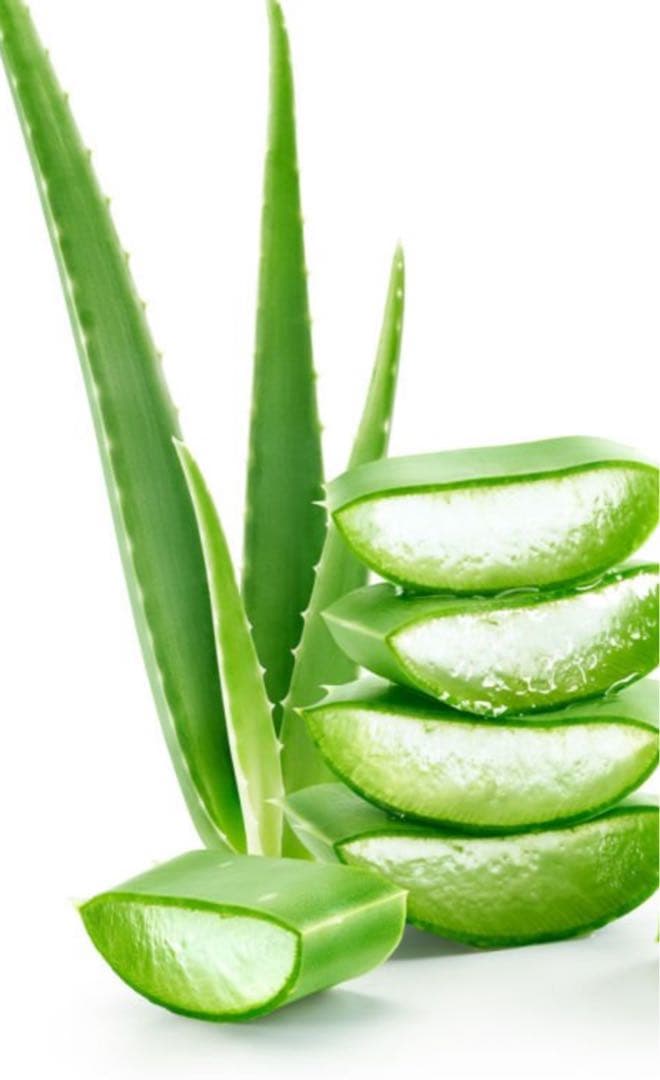 Mame 様　　専用ページ♡