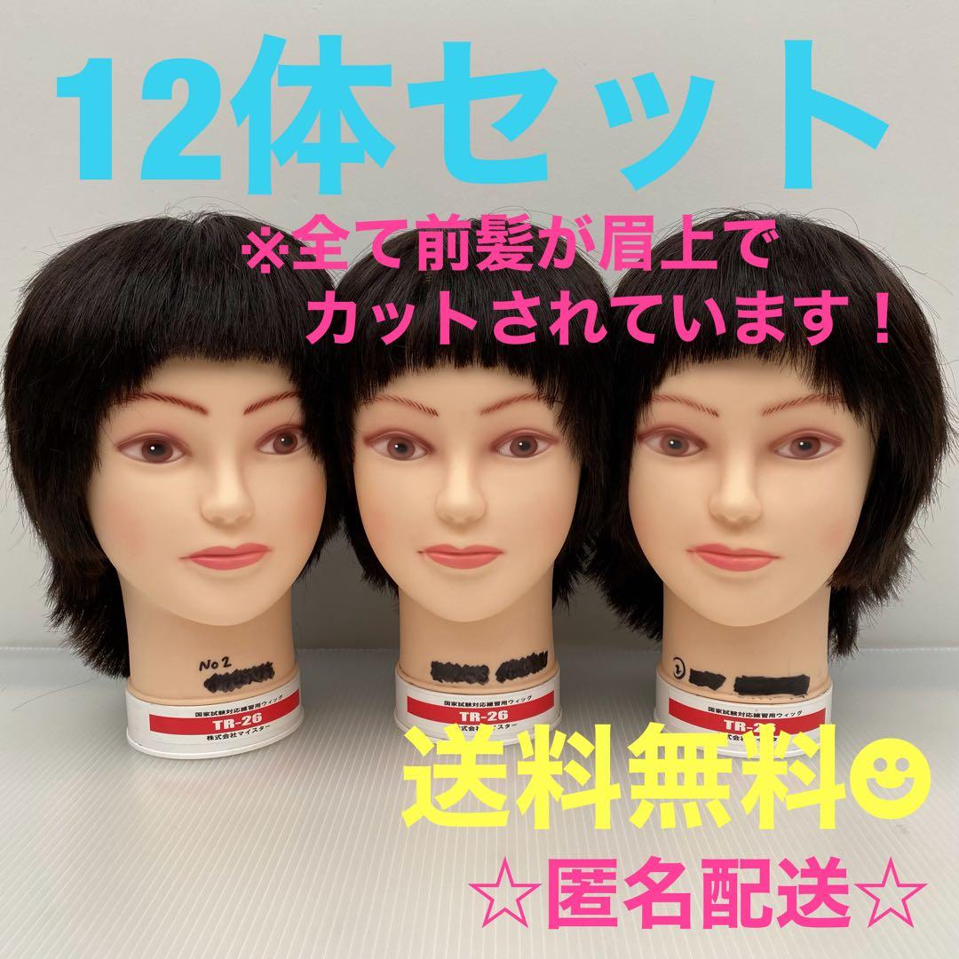 カットウィッグ カットマネキン 美容師 国家試験 練習 - メルカリ