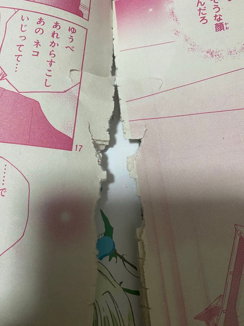 かみちゃまかりん　雑誌切り抜きセット