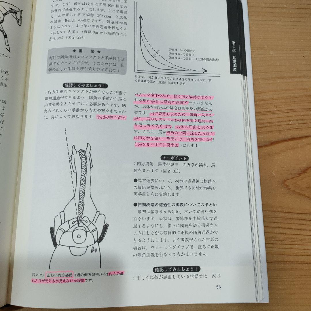 h*2様 ドレッサージュのヒント : 乗馬調教と騎手教育 : ドイツ馬術方式の実