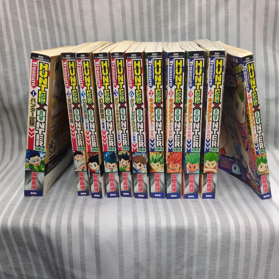 ハンターハンター Hunter x Hunter, Vol. 24 (Hunter X Hunter) / Togashi, Yoshihiro