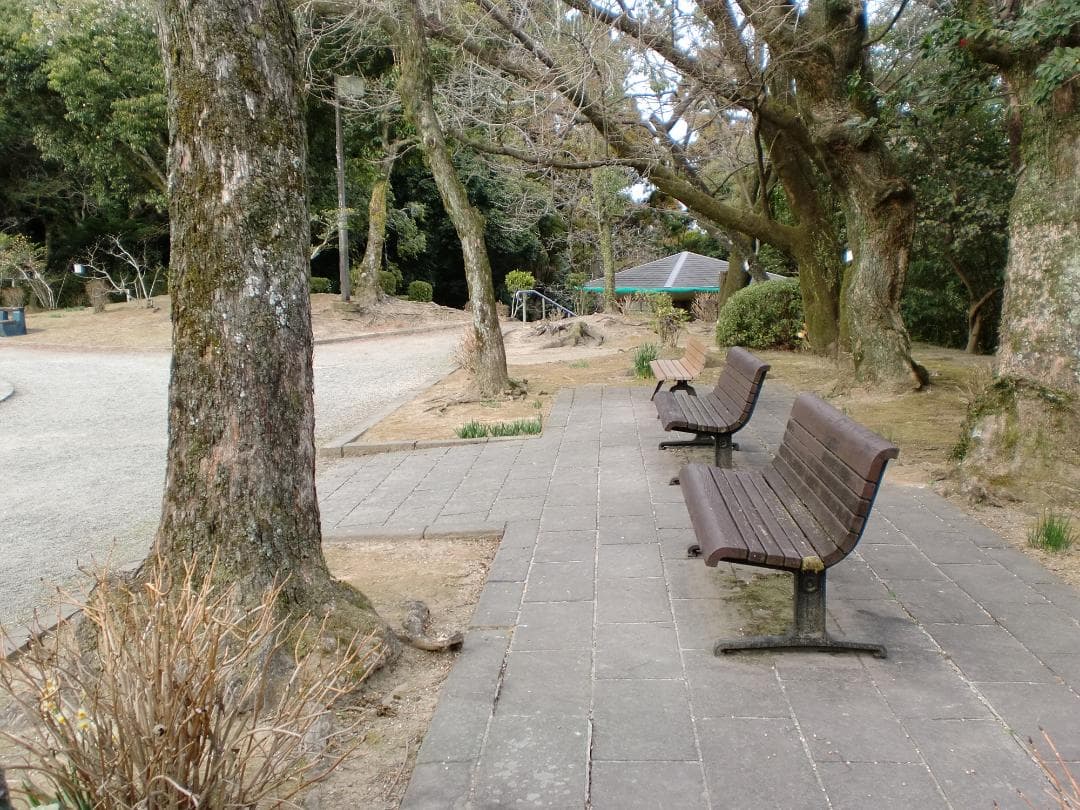 作例有 動作OK SDカード付 純正セット カシオ EXILIM EX-Z90 - メルカリ