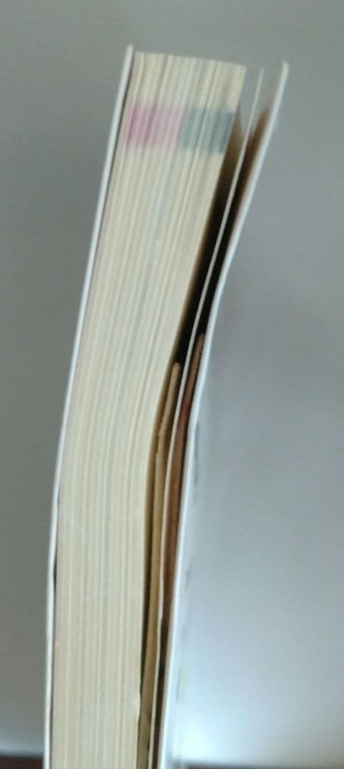 英文雑誌を極めようという人のための究極の超難語『タイム』1001ワード