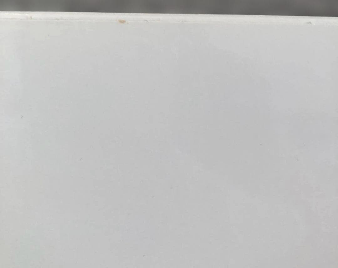 入手困難 ザ・タイマーズ The timers 忌野清志郎 帯付き 激レア盤