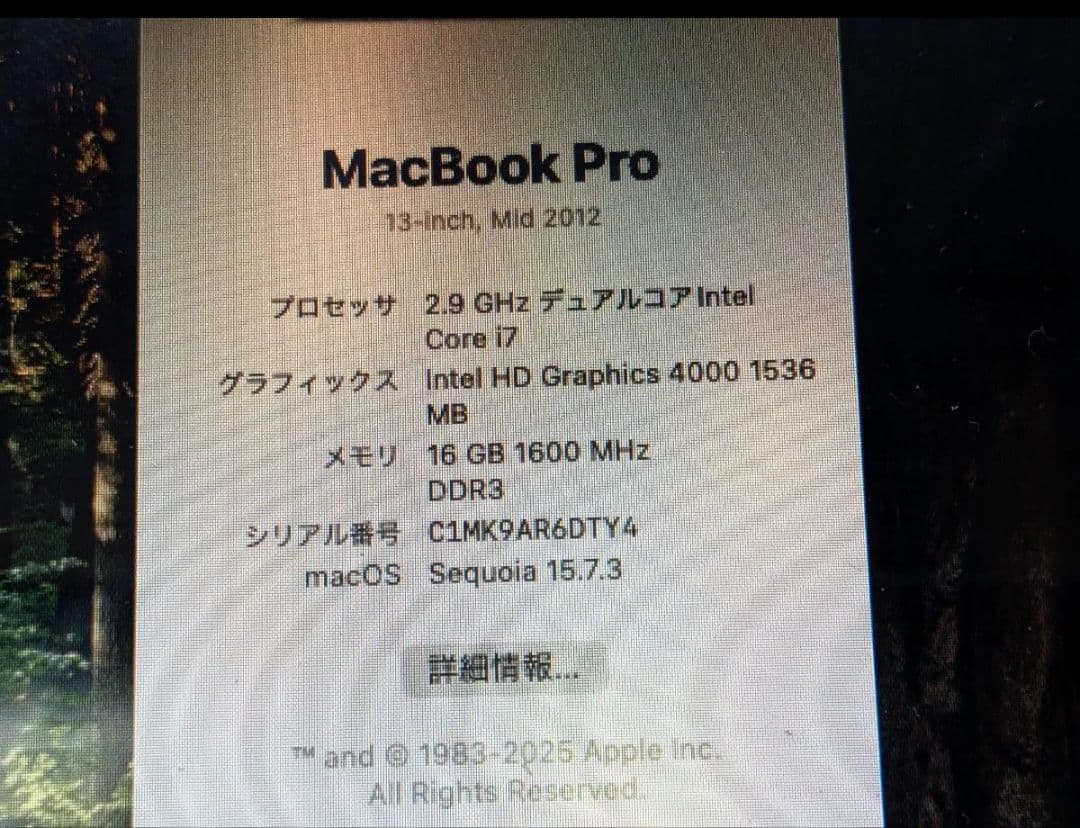 MacBook本体 Macbookpro 13inch 2.9GHz Core i7 16GB