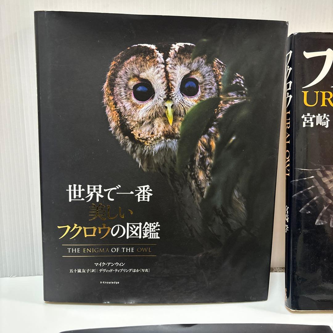 フクロウの本、図鑑 まとめて7冊 世界で一番美しいフクロウの図鑑