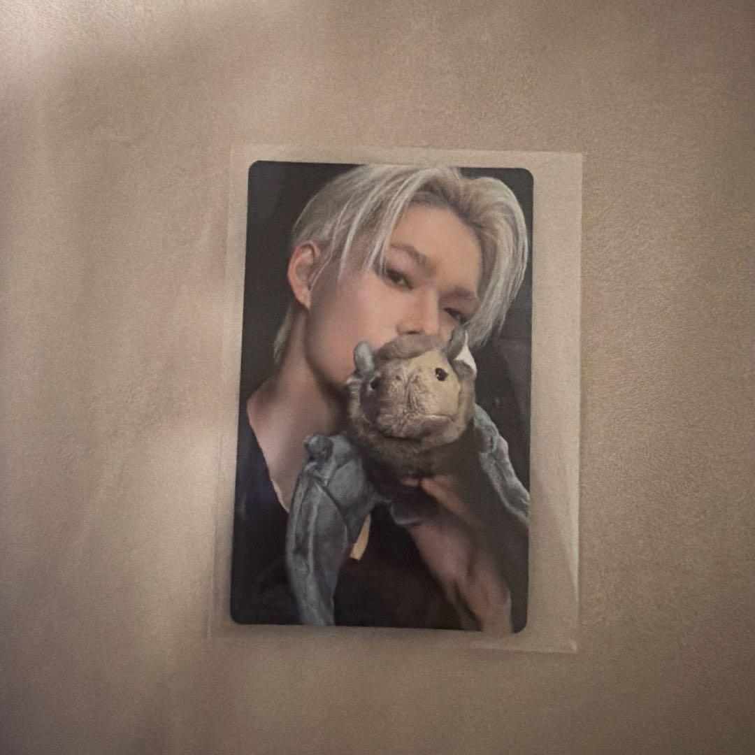 アイドル Enhypen ENHYPEN: K-Pop Rising Star to Know