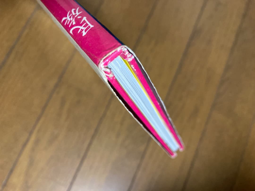 民族 大沼ショージ　タッド.ガーフィンクル