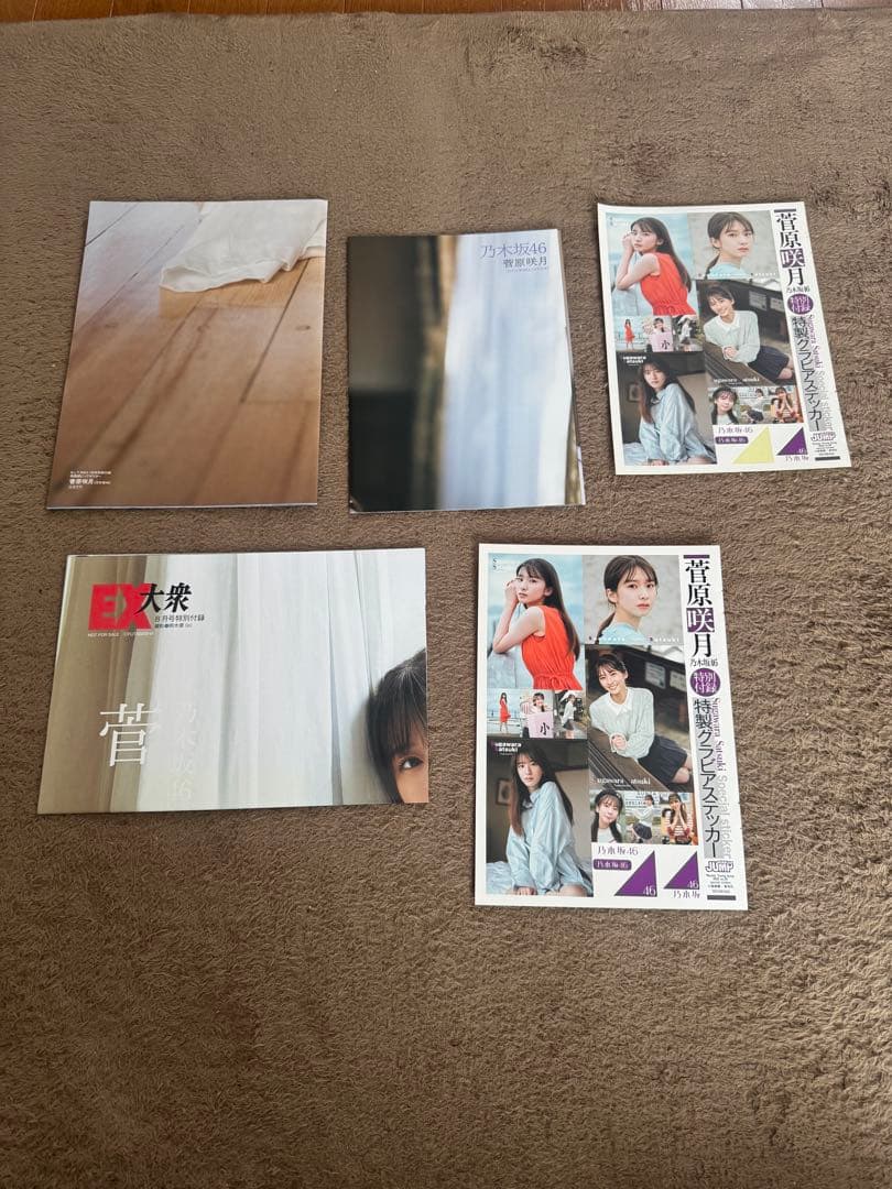 乃木坂46 真夏の全国ツアー2023 菅原咲月全身アクリルキーホルダー30個