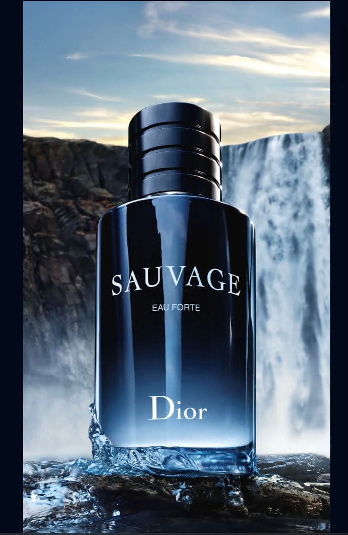 Dior ソヴァージュ パルファン100mL DIOR】 ソヴァージュ パルファン - フレグランス