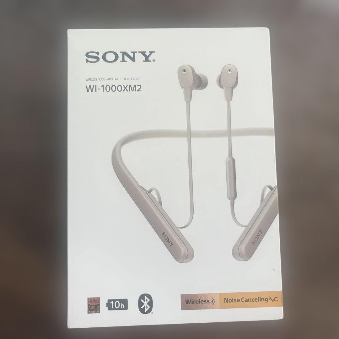 SONY WI-1000XM2 ワイヤレスイヤホン 51mwqC1R8XL.jpg_BO30,255,255,