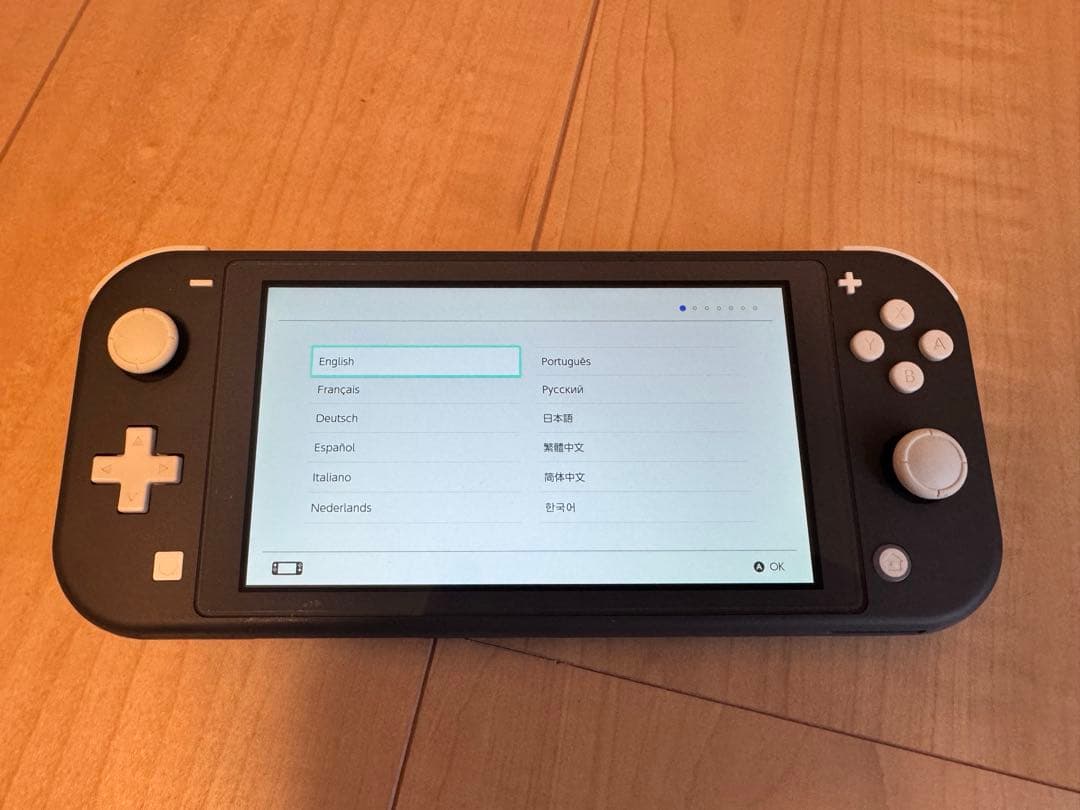 Nintendo Switchライト　グレー Nintendo Switch Lite Console, Gray - (UAE Version) | eBay