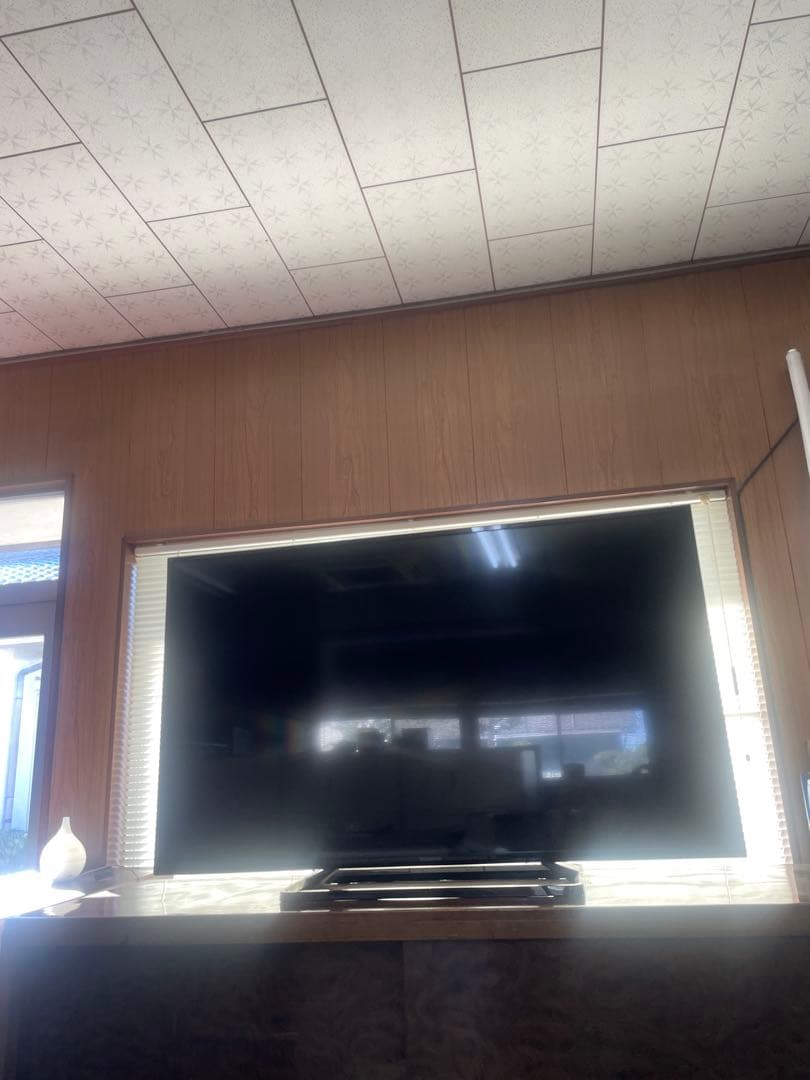 訳あり ジャンク品【Panasonic】 TH-49D300 リモコン付