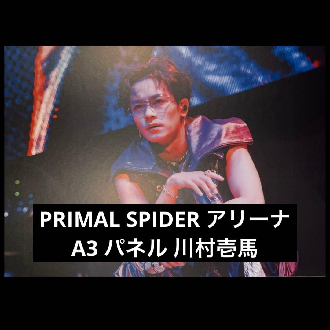 THE RAMPAGE PRIMAL SPIDER パネル 川村壱馬 repost THE RAMPAGE LIVE TOUR 2025 