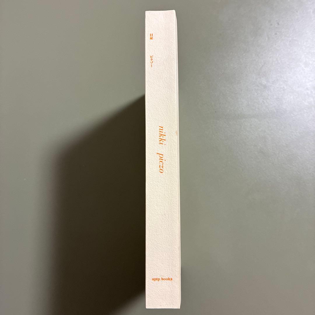 nikki picz日記 ピクゾー （写真集）（アート）