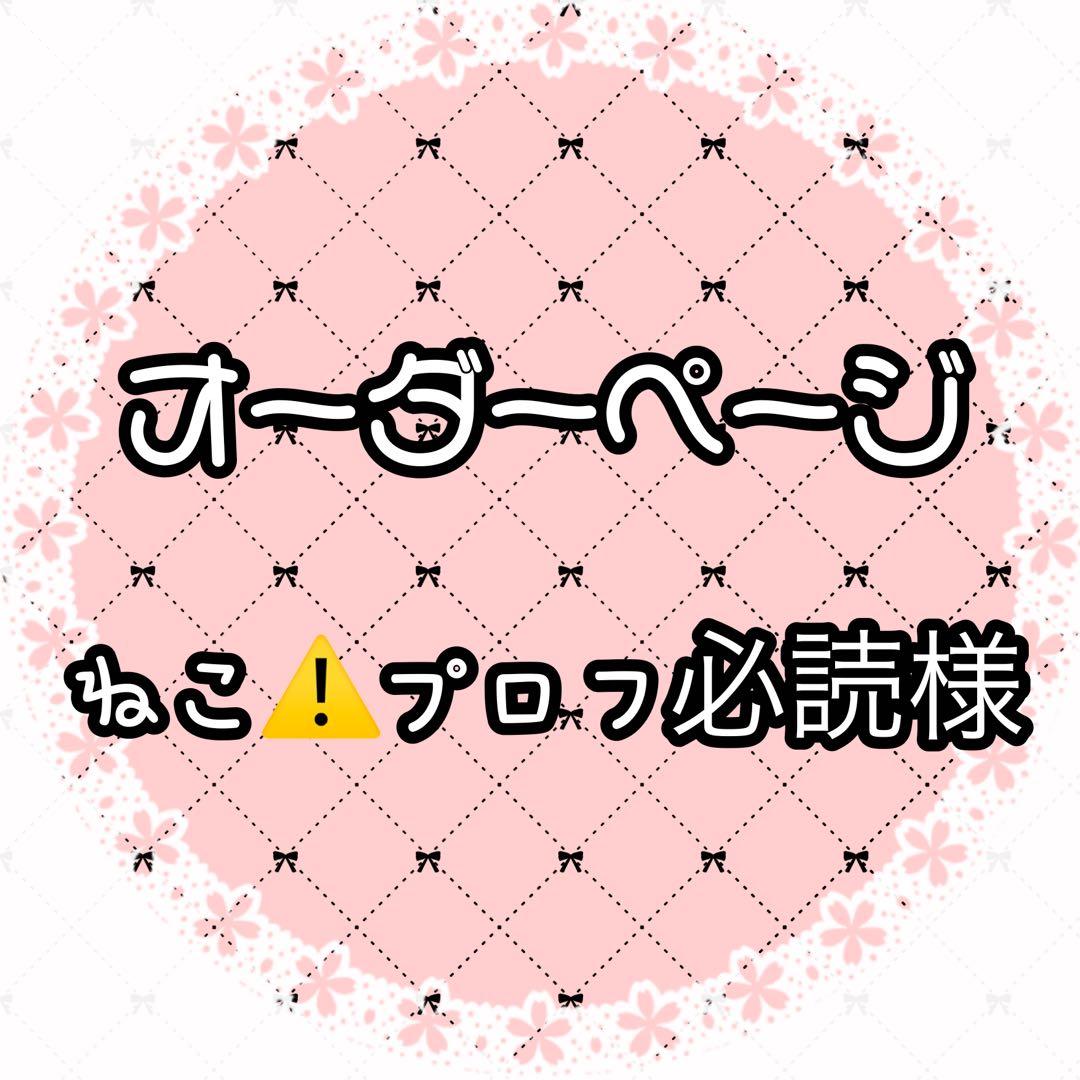 ねこ⚠️プロフ必読様専用ページ - メルカリ