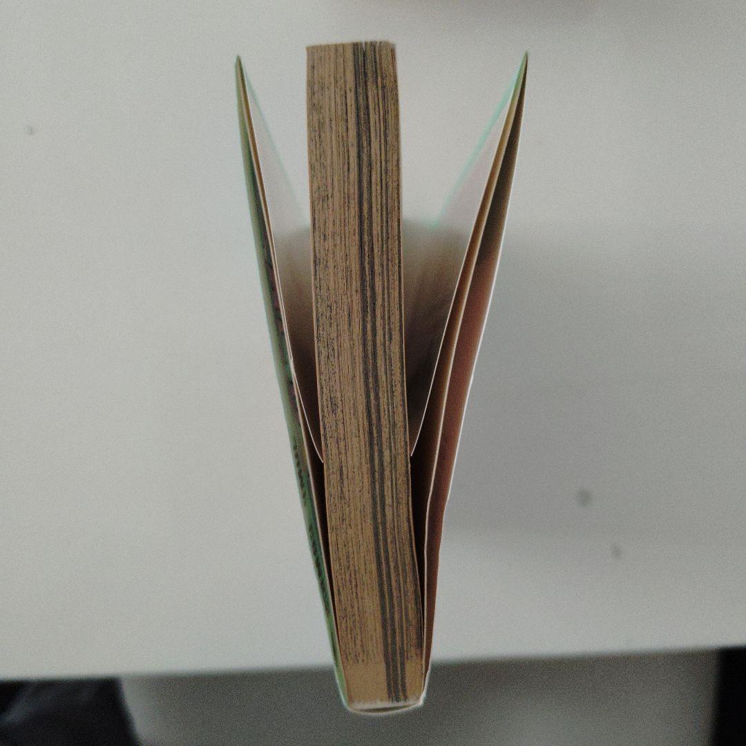 ONE PIECE 9巻 初版 帯付 - メルカリ