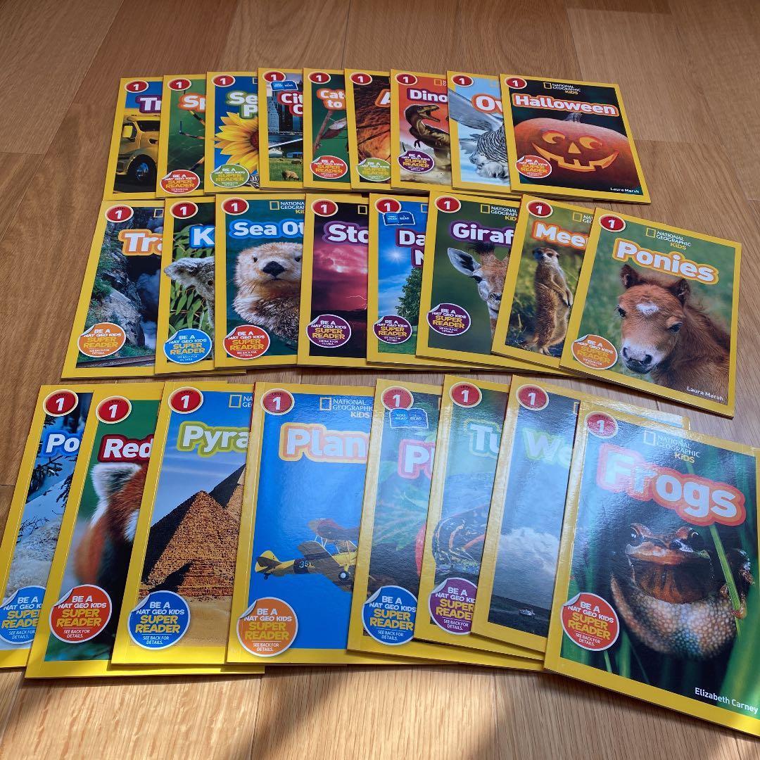 英語の絵本 SING&SAY A Dragon on the Doorstep CDつき絵本 ＜NoBuYoung