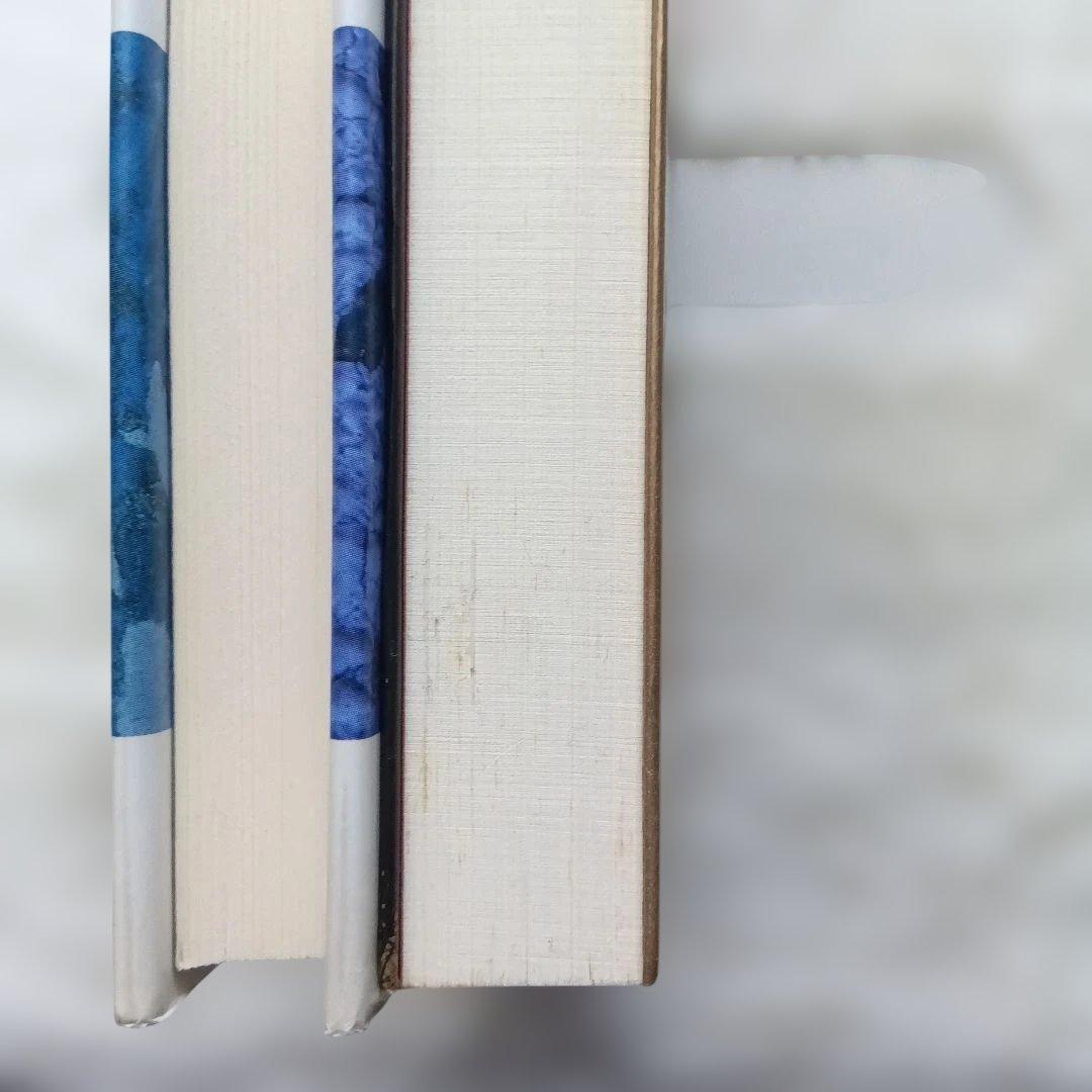 血みどろ臓物ハイスクール/わが母悪魔学 2冊セット　キャシー・アッカーまとめ売り