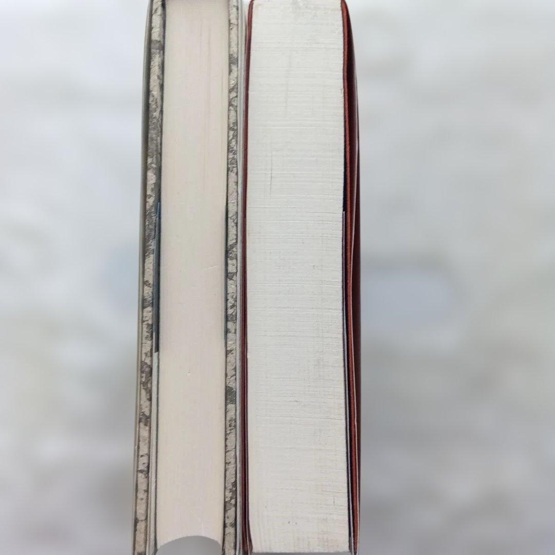 血みどろ臓物ハイスクール/わが母悪魔学 2冊セット　キャシー・アッカーまとめ売り