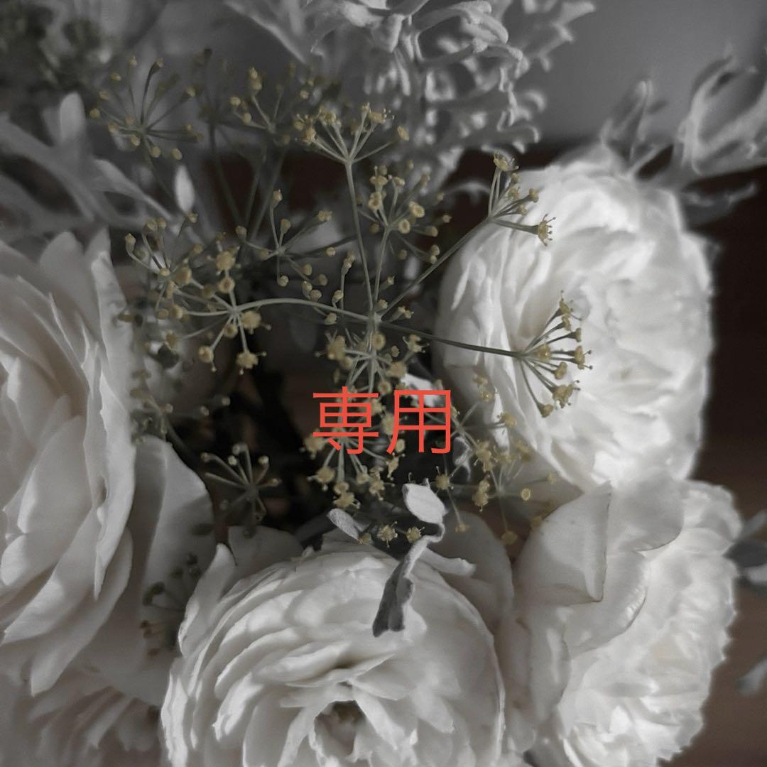 未使用品】サカナクション sakanaction NFCS ビッグタオル - メルカリ