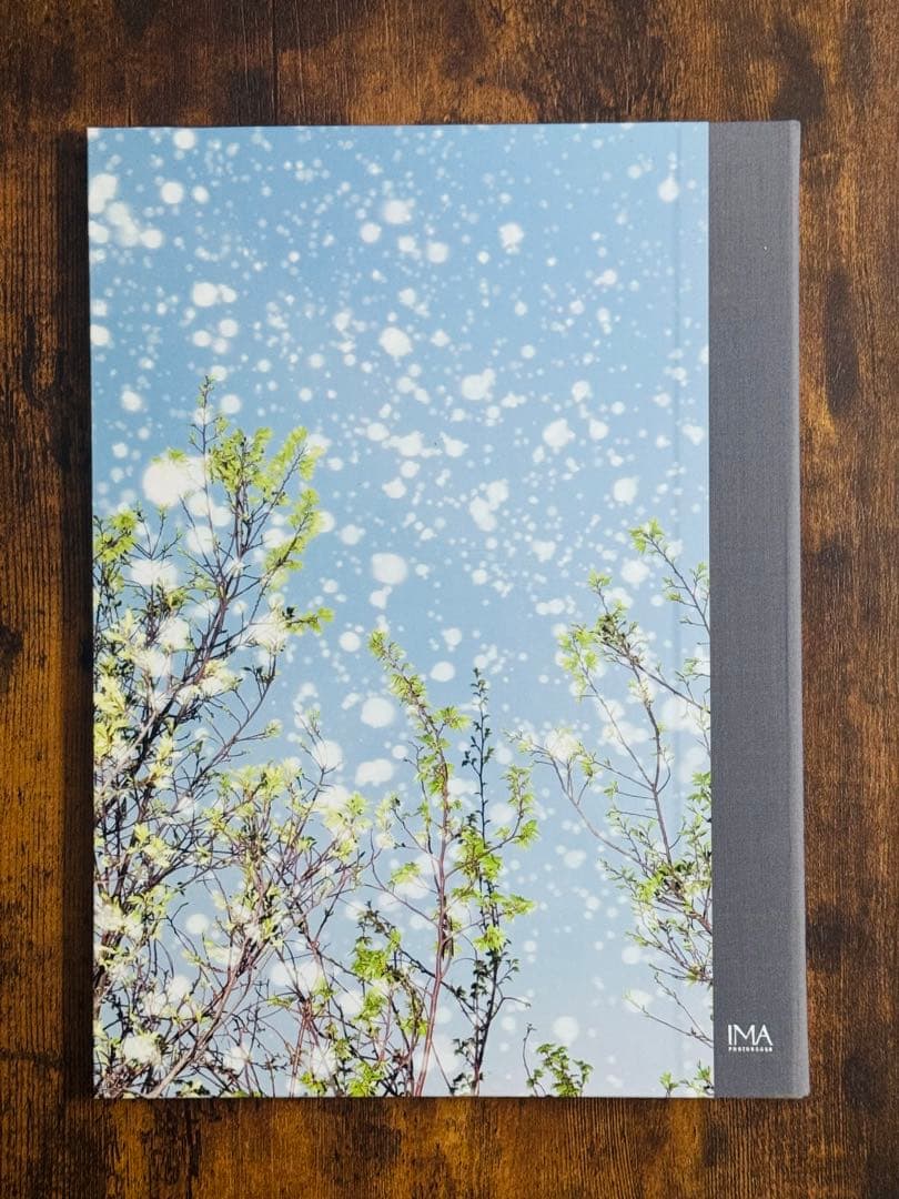 【希少本】Yusurika / 水谷吉法