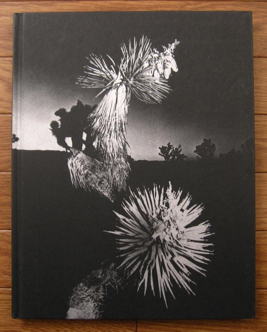 Horizon Icons / Chris Shaw : クリス・ショウ HORIZON ICONS by Chris Shaw [SIGNED] – twelvebooks