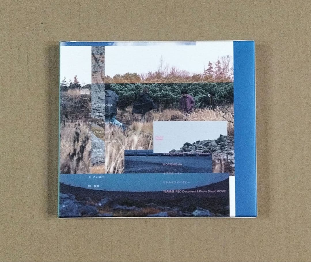 ヒトリエ IKI 初回限定盤 CD DVD ブックレット付