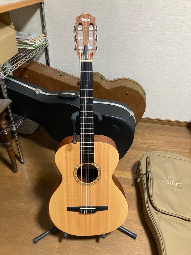 テイラーギター 2024年の新アコースティックギター | Taylor Guitars