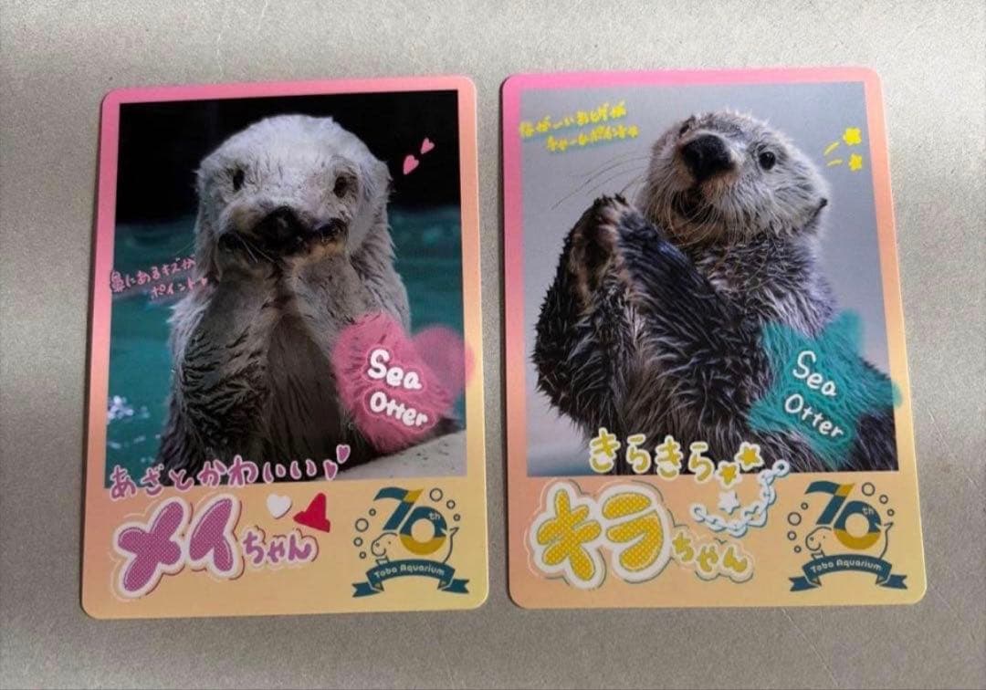 鳥羽水族館 コレクションカード メイ キラ 70周年記念 ラッコ - メルカリ