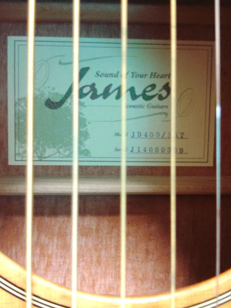超美品】James アコースティックギター JD400/NAT