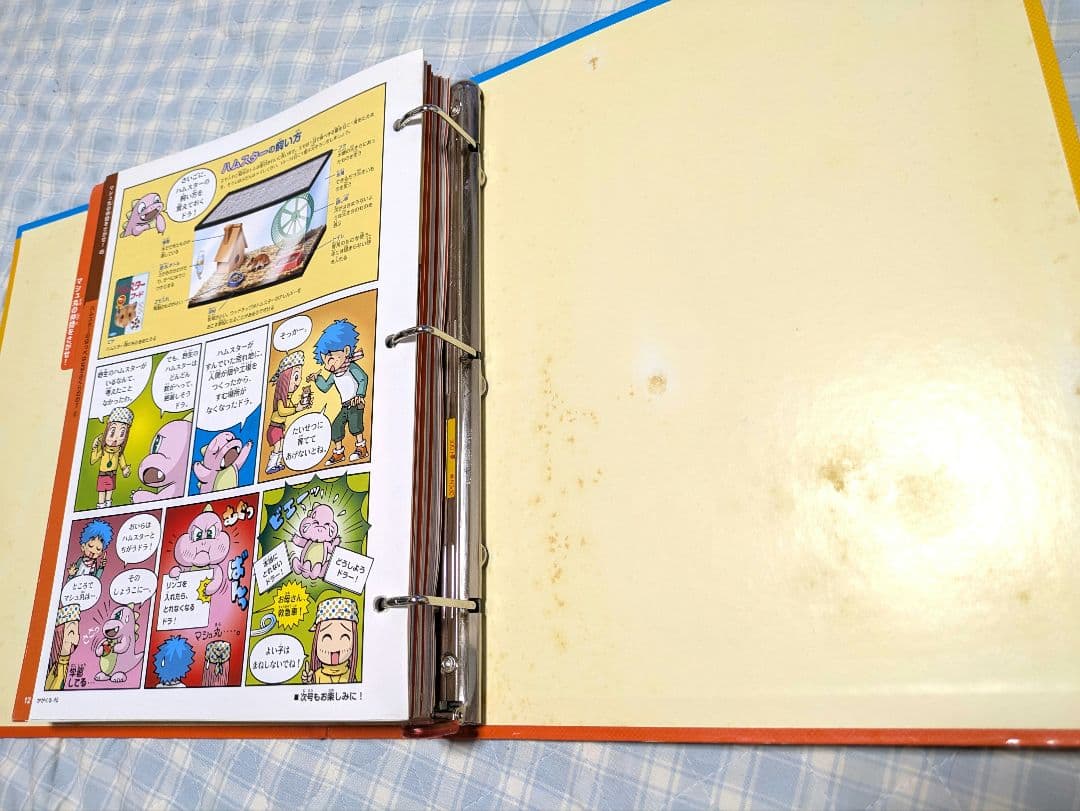 朝日新聞社 なんでもわかるビックリ科学誌 週刊かがくる 5冊（全50巻