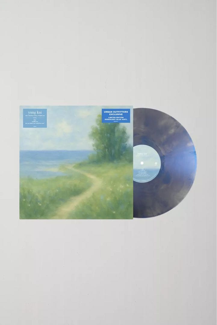 Yung Kai アナログレコード blue収録 フリーレン