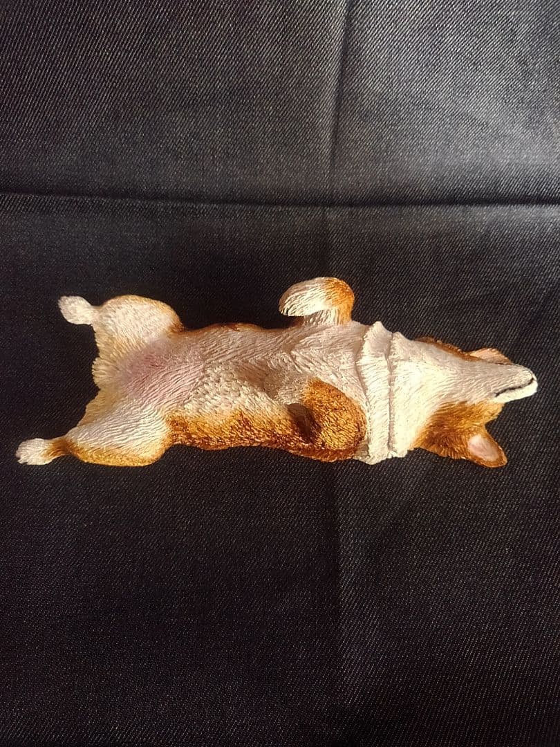 木彫りのコーギーヘソ天 イマジュクグラム 】ヘソ天が大好きなコーギーちゃまのお手入れに密着