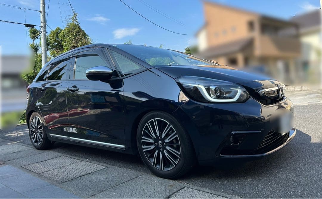 レーシングギアRG GR3フィット用車高調 - メルカリ