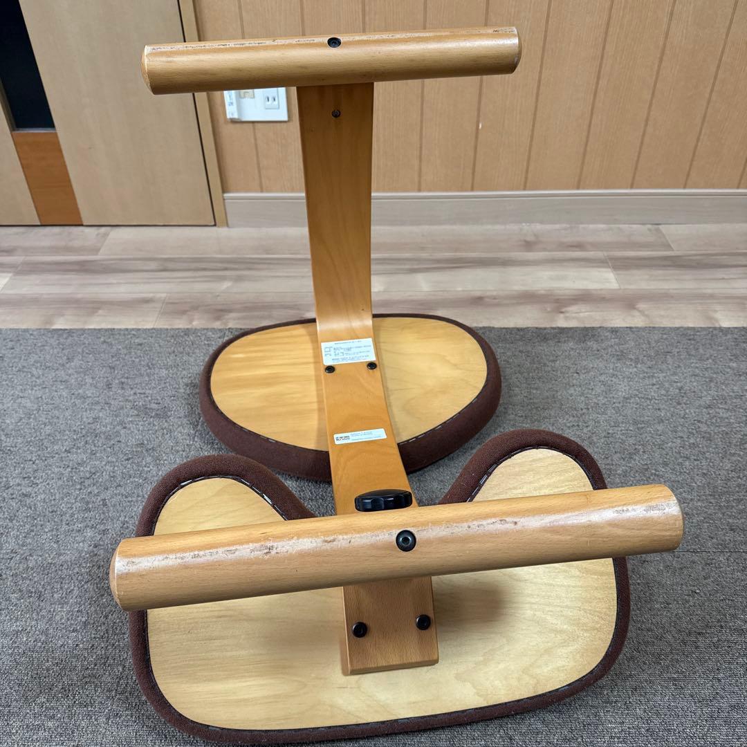 Rybo バランスチェア balans Easy バランスイージー 送料込み - メルカリ