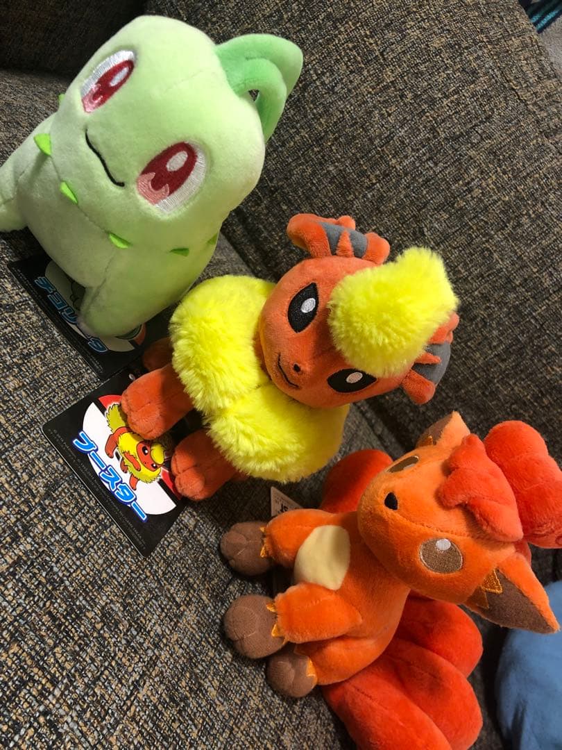 限定大幅お値下げ ポケモンセンター購入 ぬいぐるみまとめ販売 - メルカリ