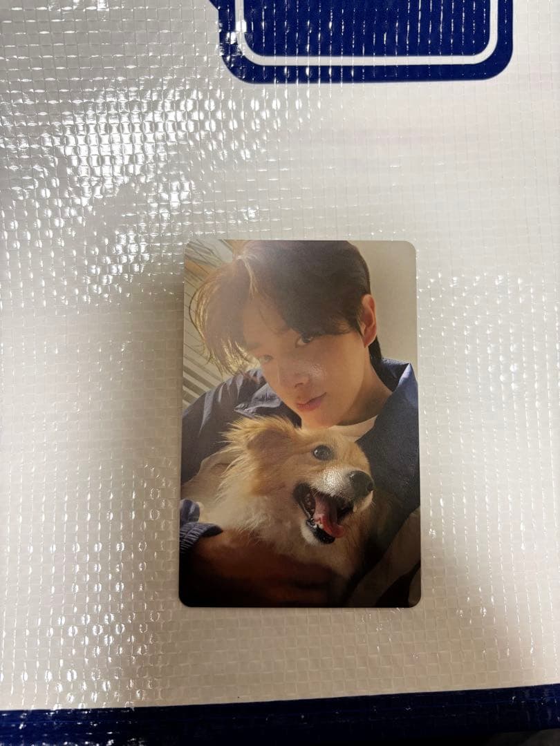 ENHYPEN ジェイク アンケートトレカ ENHYPEN アンケートトレカ7人セット - メルカリ