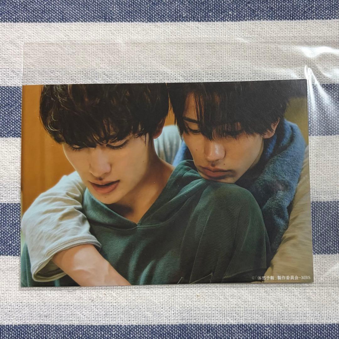 体感予報 ブロマイド 棚田葉 増子敦貴 樋口幸平 瀬ヶ崎瑞貴 ③ - メルカリ